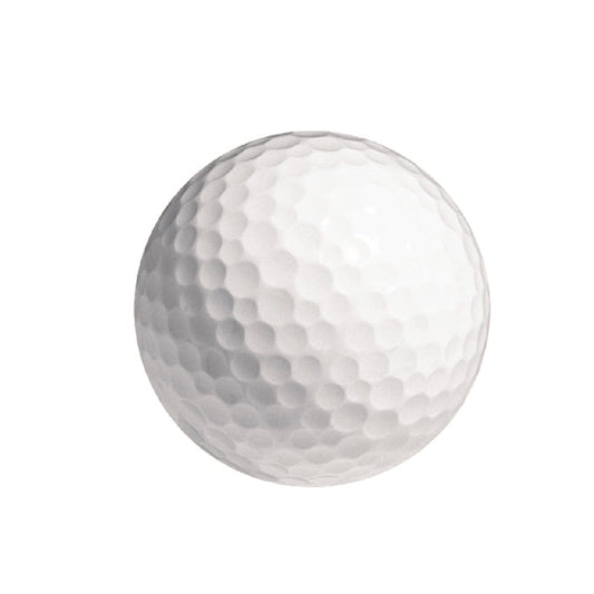 White Bulk Generic Golf Balls - 1 Dozen